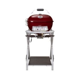 BARBACOA AMBRI 480 G RUBY